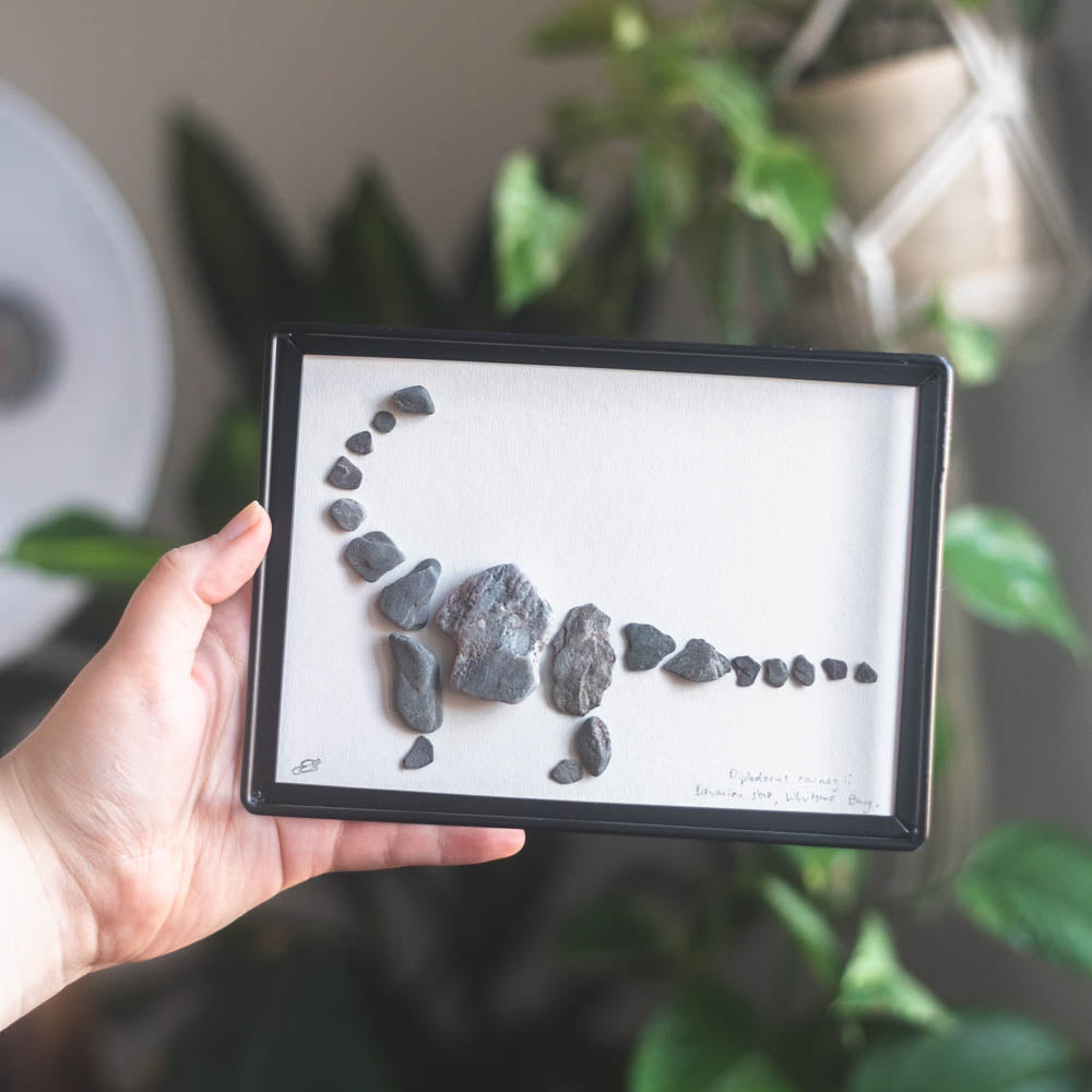 Framed Original Handmade Diplodocus Small Pebblesaur Artwork