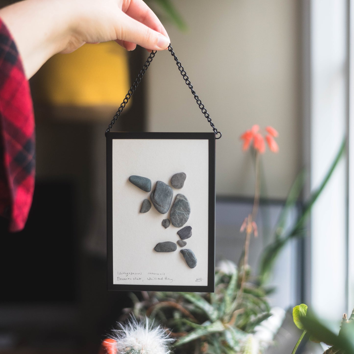 Framed Original Handmade Ichthyosaurus Mini Pebblesaur Artwork