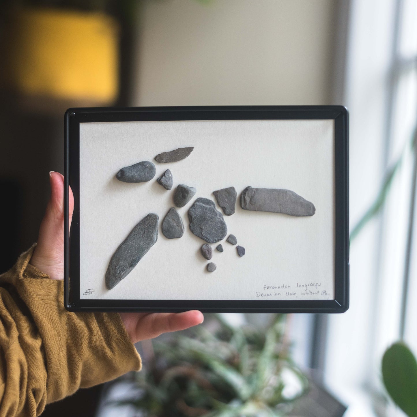 Framed Original Handmade Pteranodon Small Pebblesaur Artwork