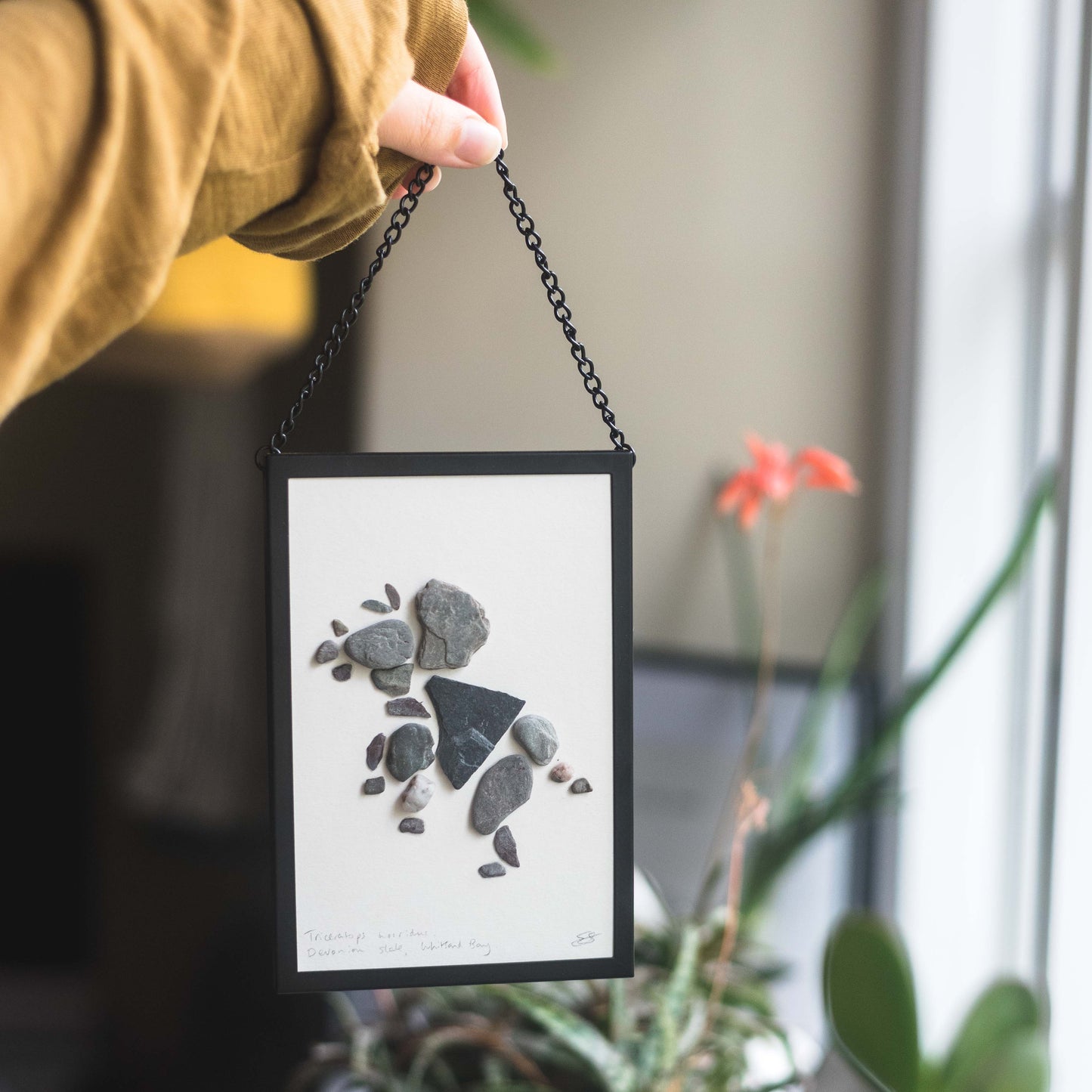 Framed Original Handmade Triceratops Mini Pebblesaur Artwork
