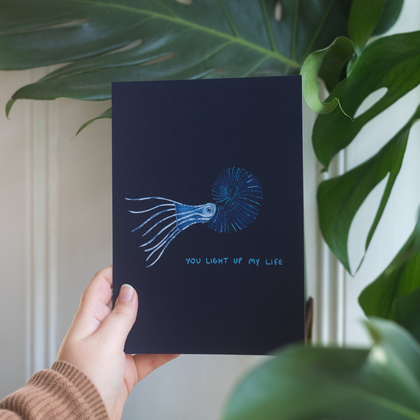 Ammonite Bundle of Prints