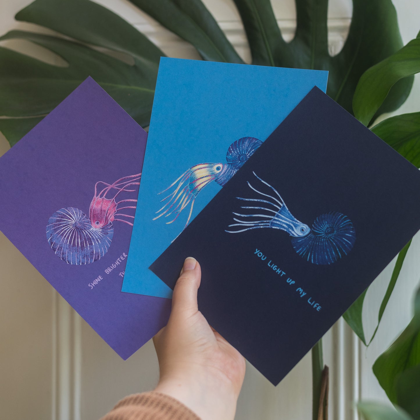 Ammonite Bundle of Prints