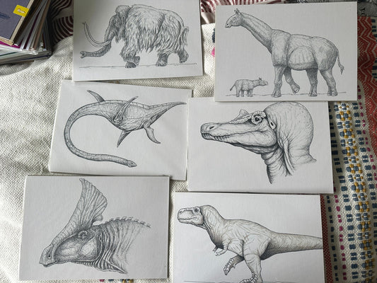 Black and White T.rex Print