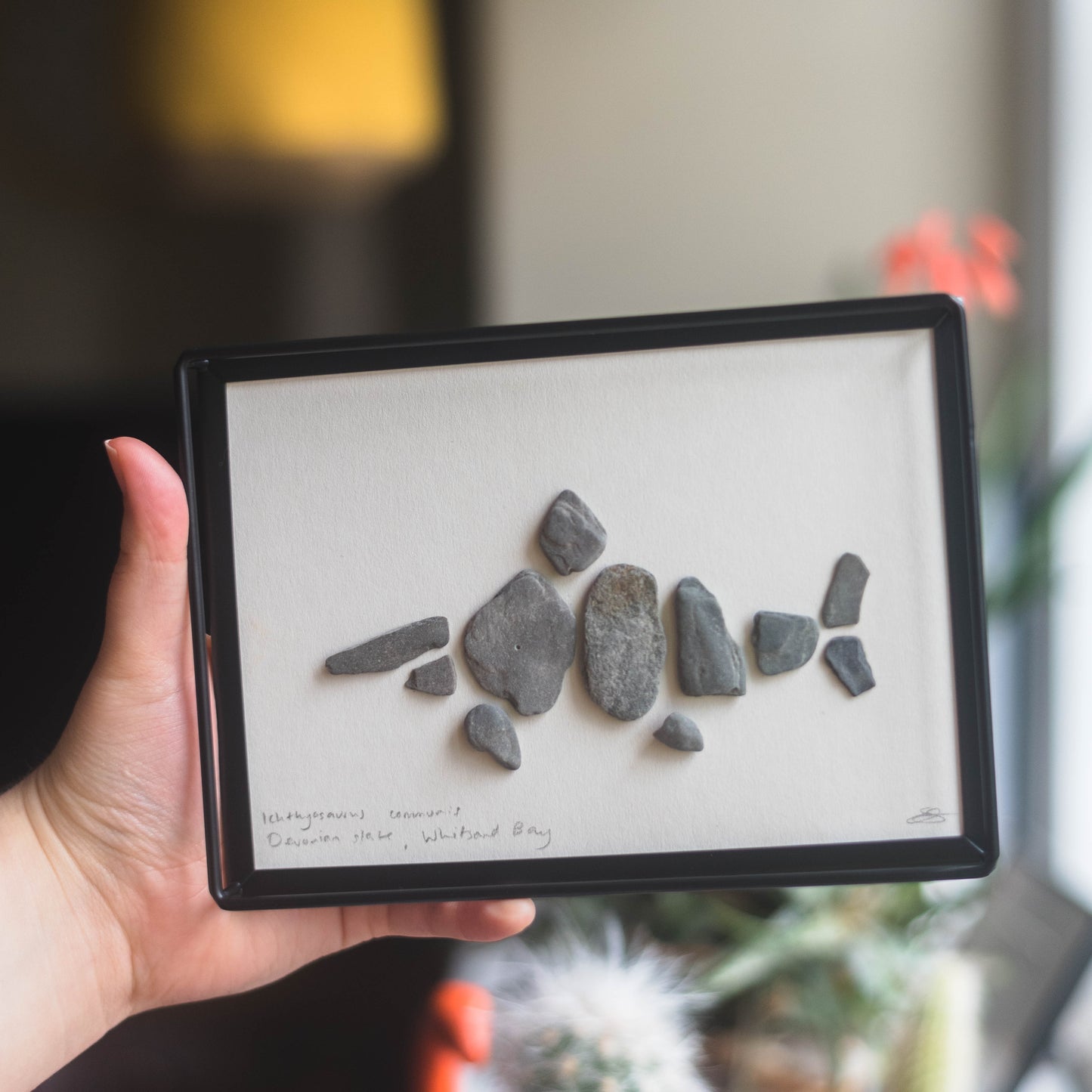 Framed Original Handmade Ichthyosaurus Small Pebblesaur Artwork